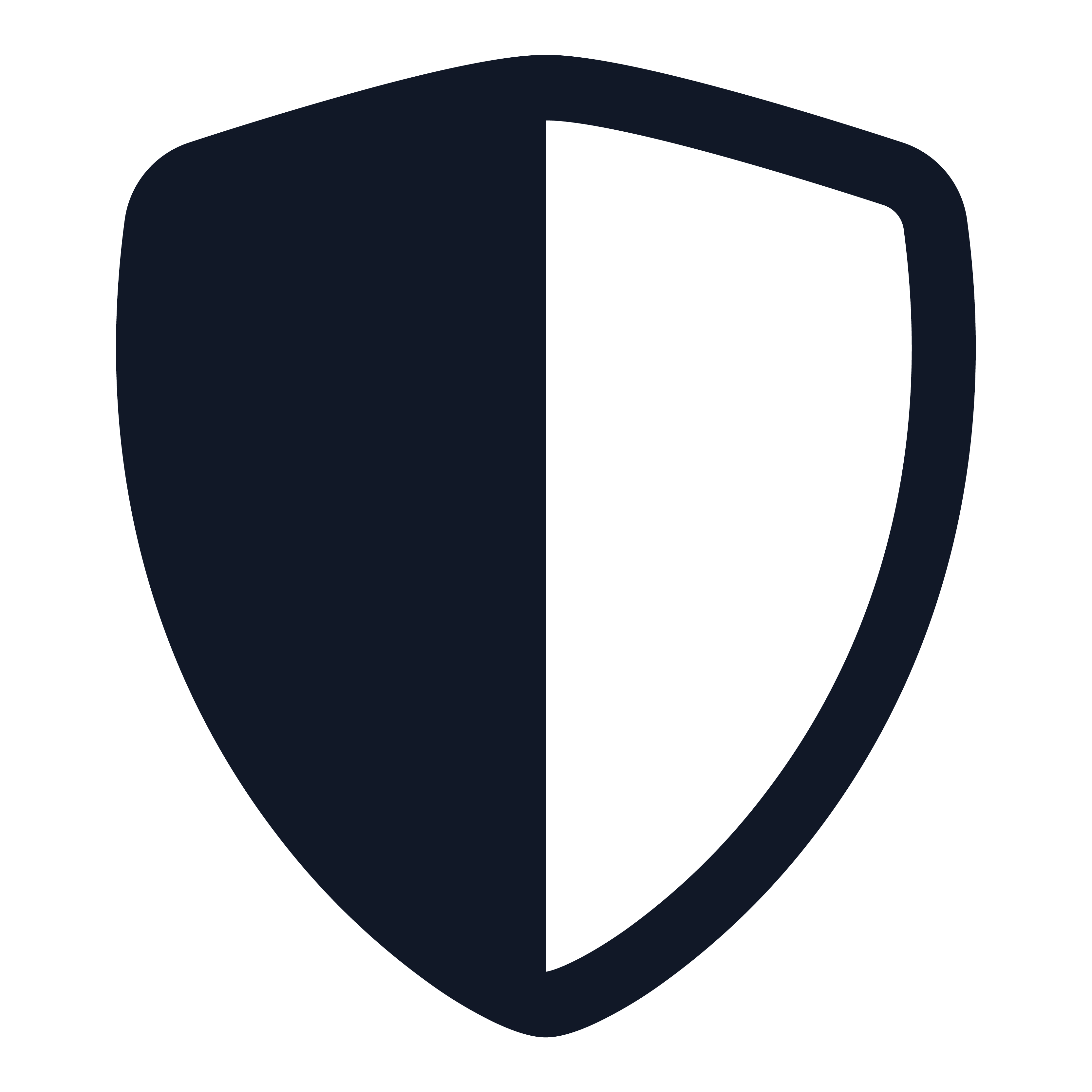 DDoS Protection icon